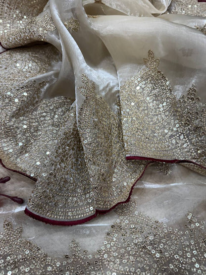 Gold And Red Jimmy Choo Saree