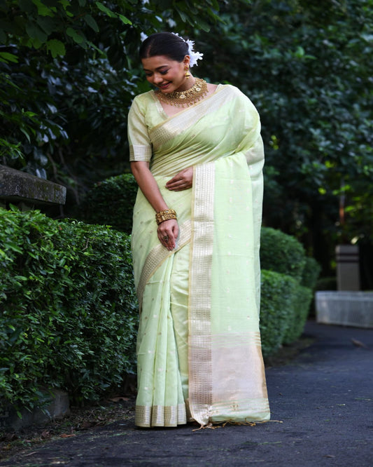 Soft Green Tissue Silk Saree